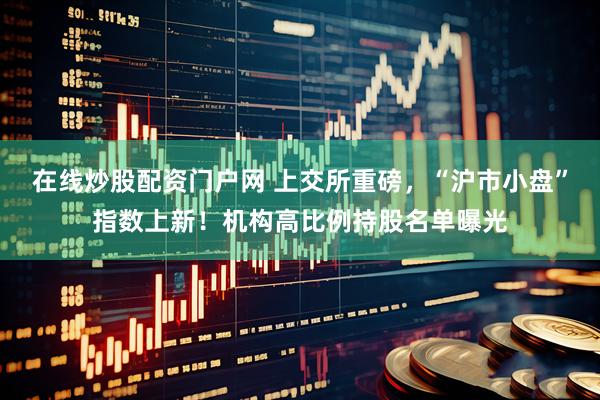 在线炒股配资门户网 上交所重磅，“沪市小盘”指数上新！机构高比例持股名单曝光